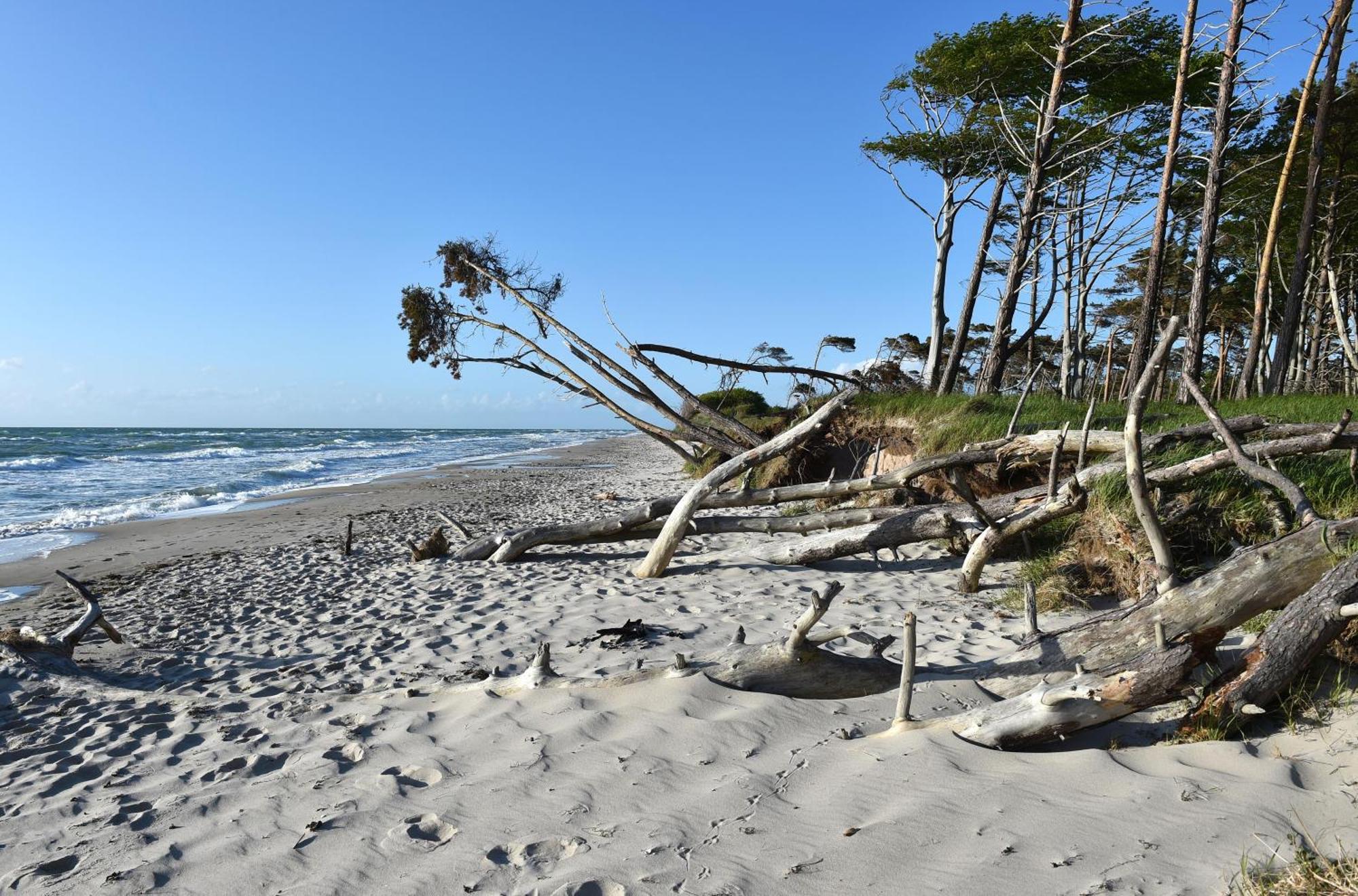 Strand Zingst Exterior foto